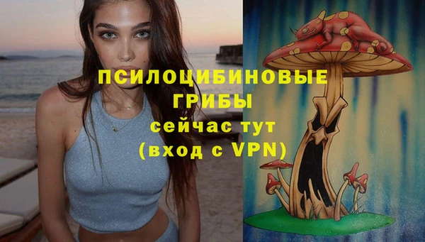 скорость Коряжма