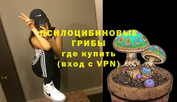 альфа пвп Корсаков